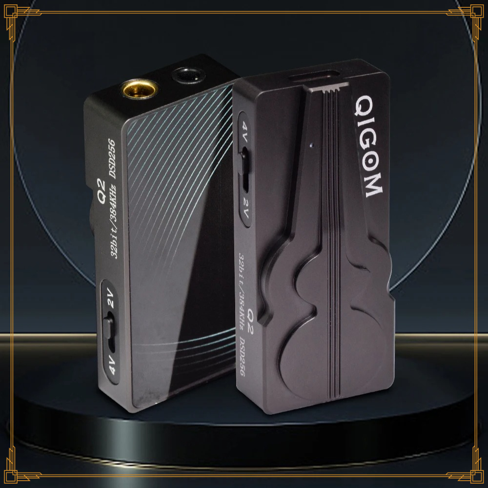QIGOM Q2 USB C DAC Headphone A - Usb C Earphone 评论和价格